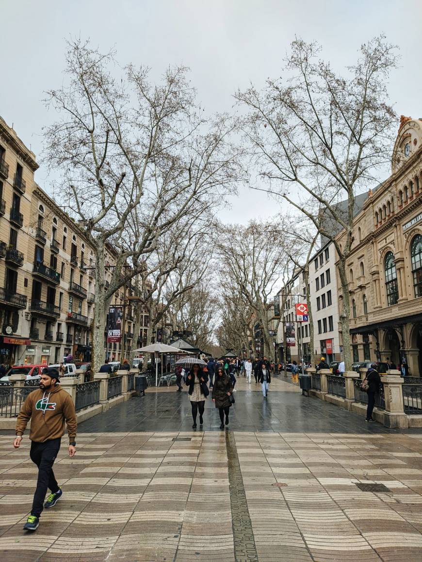 Place Rambla de Catalunya