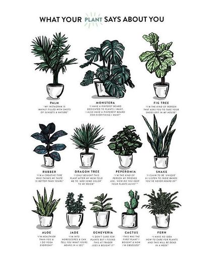 What your plant says about you?