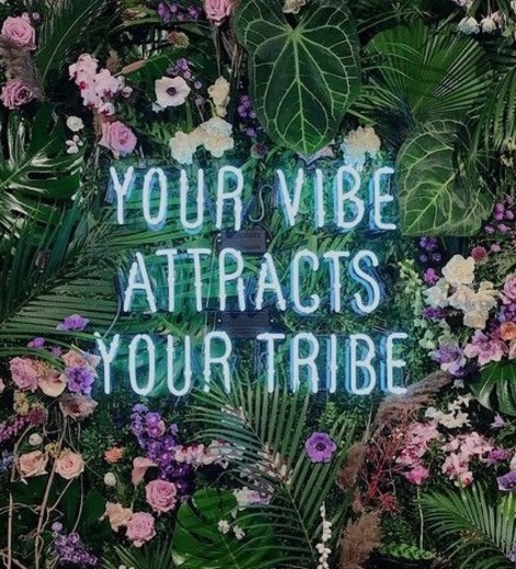 Your vibe attracts your tribe