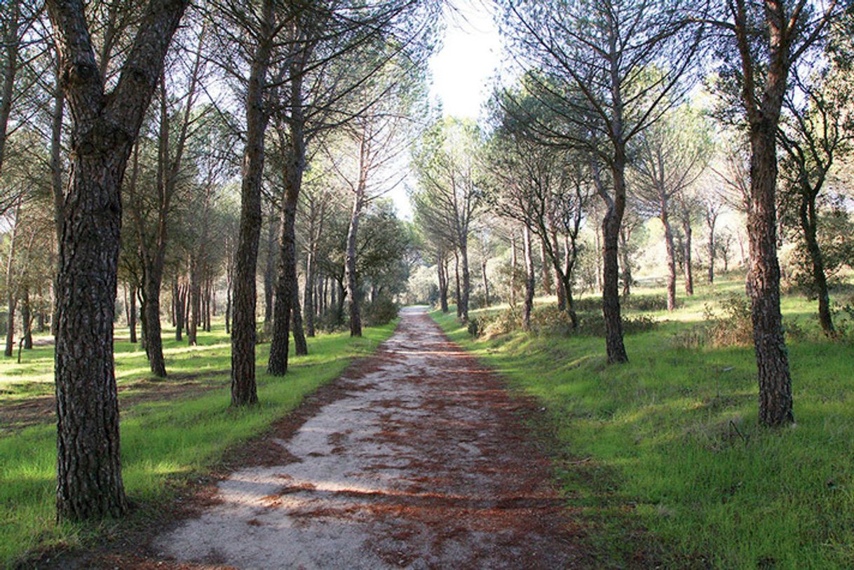 Lugar Monte de Valdelatas