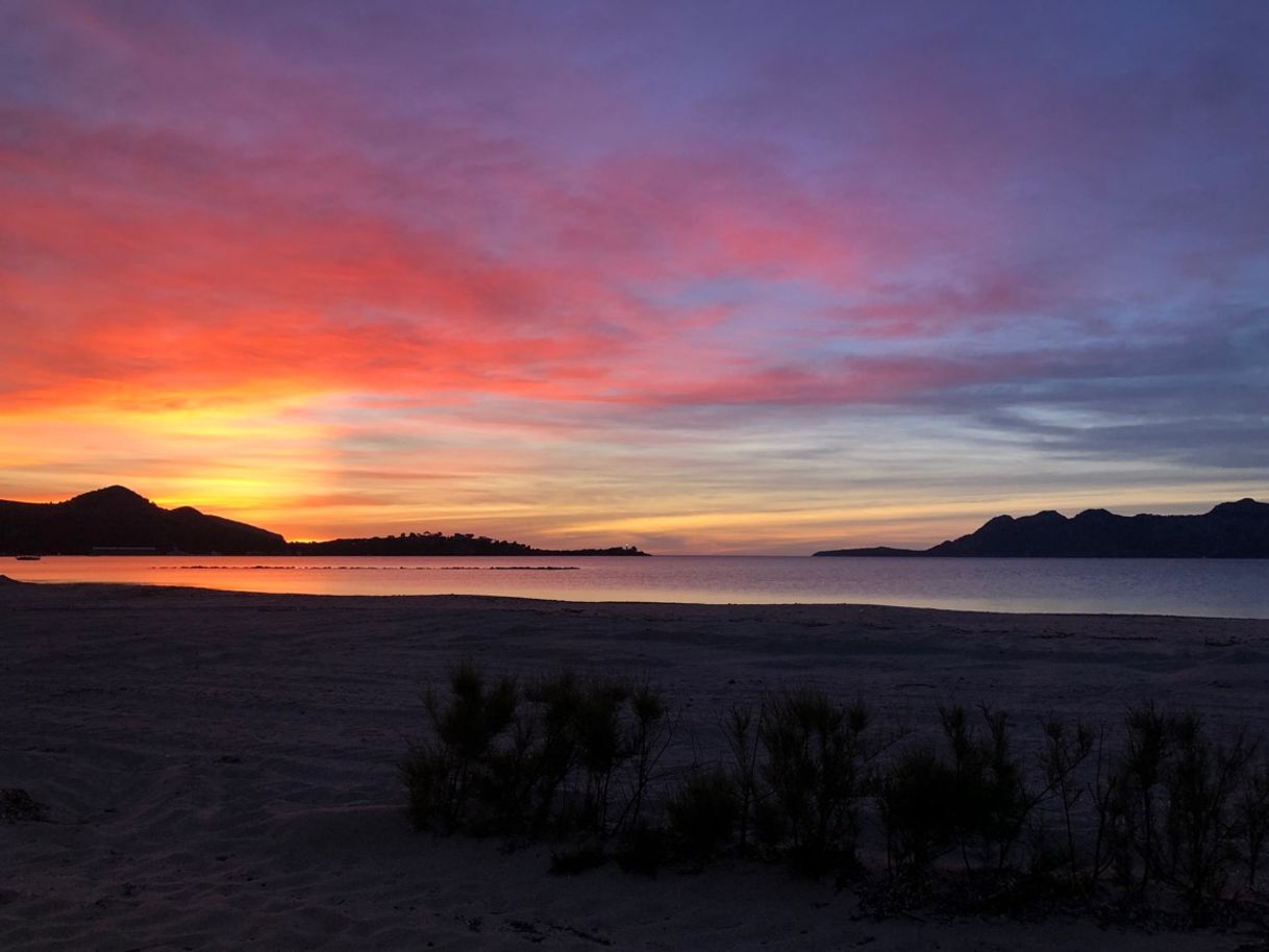 Lugar Puerto de Pollensa