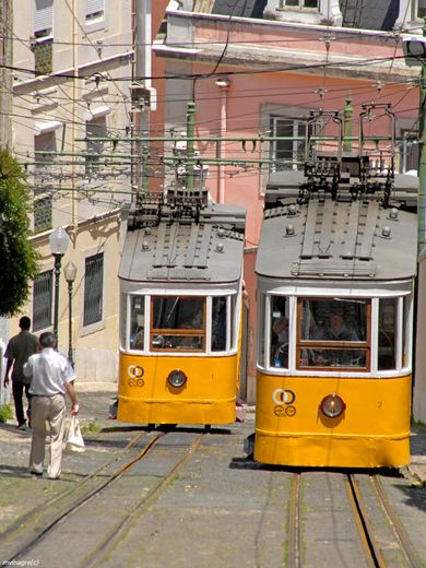 Elevador da Glória