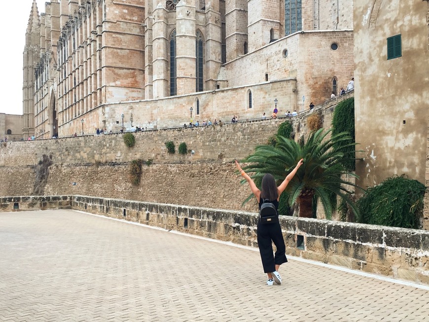 Place Catedral-Basílica de Santa María de Mallorca