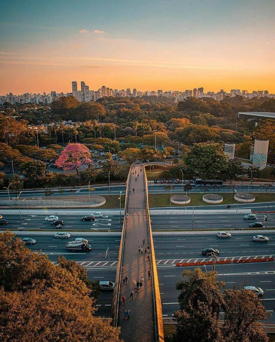 Lugar São Paulo