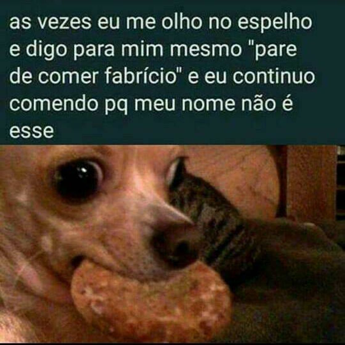 Moda Para quem só pensa em comer 😂