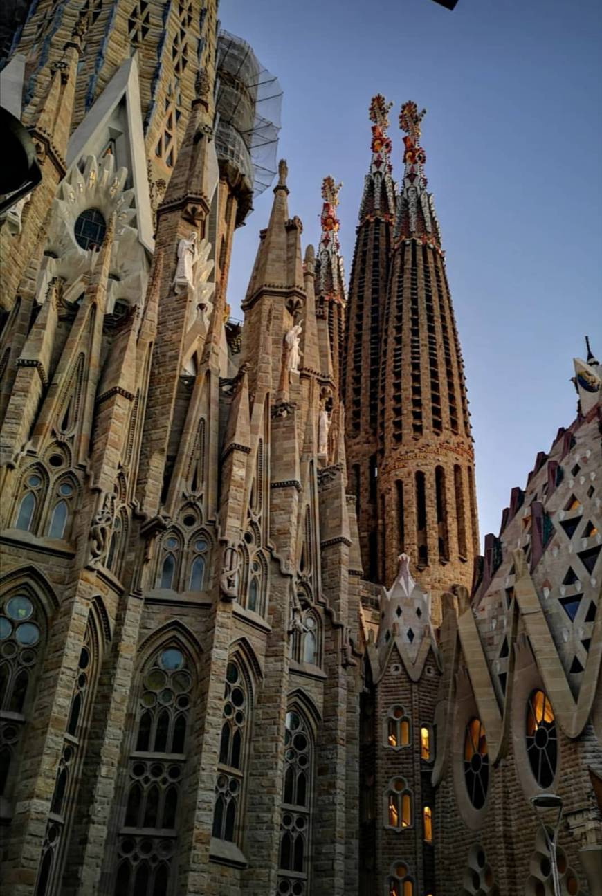 Lugar Basílica Sagrada Familia