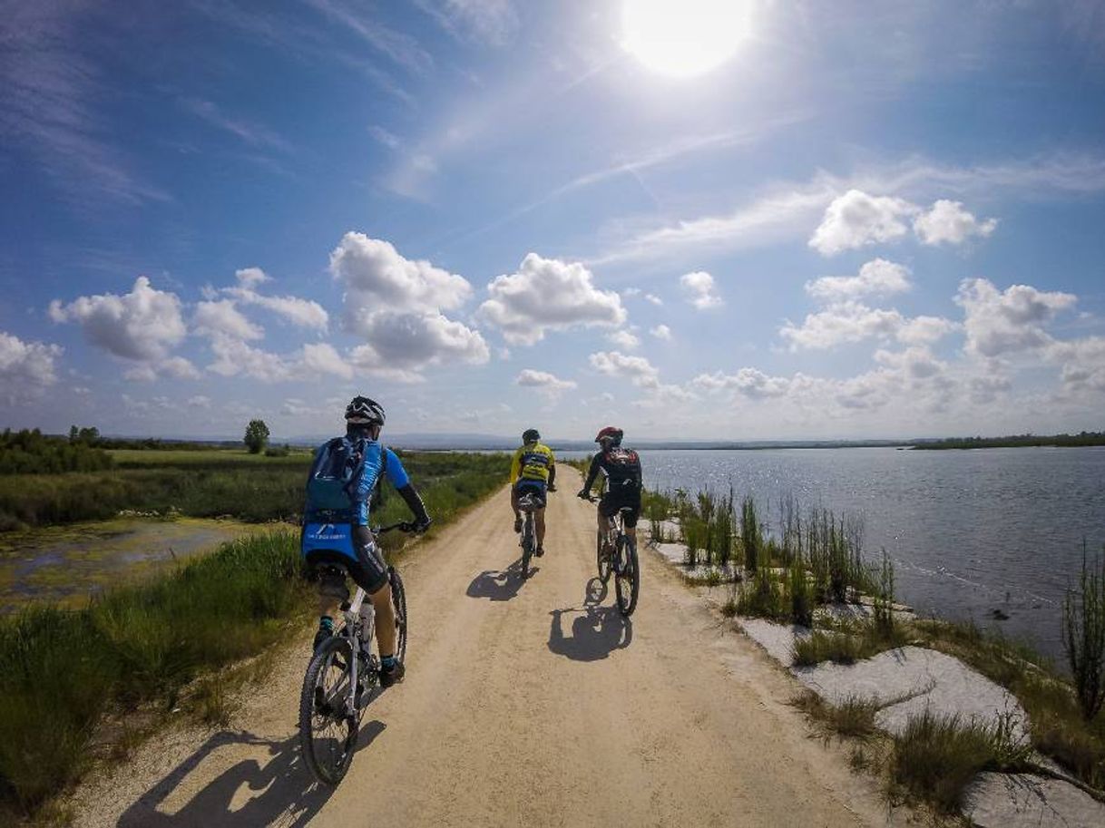 Social Murtosa Ciclável