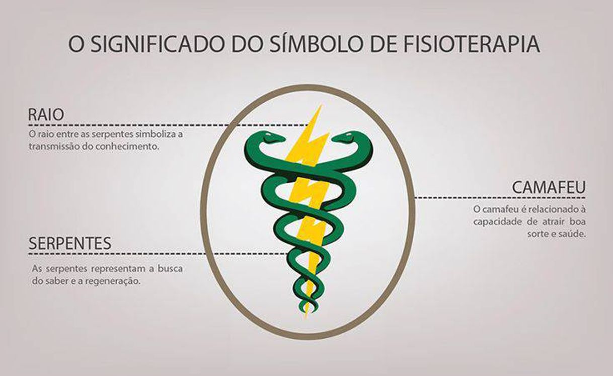 Moda Significado do símbolo do Curso de Fisioterapia 