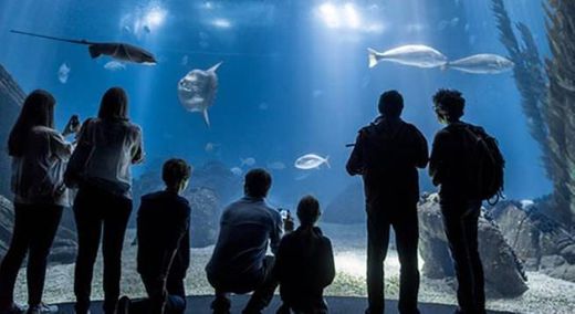 Oceanário de Lisboa