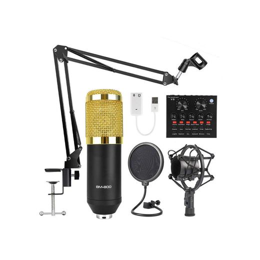 Microphone BM-800