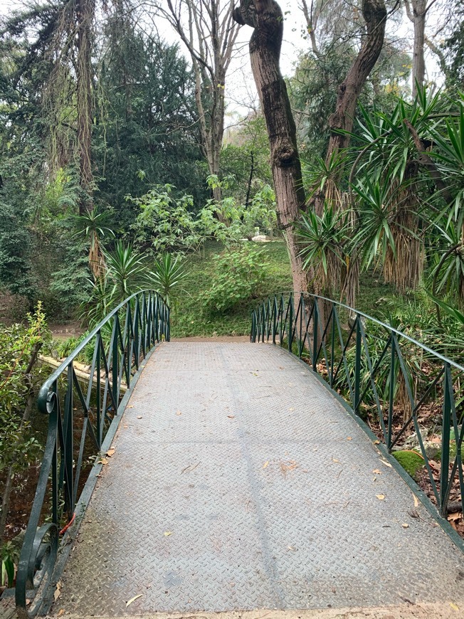 Lugar Jardín Botánico de la Universidad de Lisboa