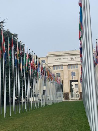 Oficina de la Organización de las Naciones Unidas en Ginebra