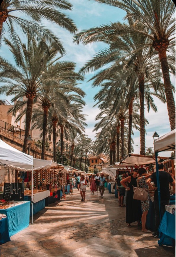 Place Palma de Mallorca