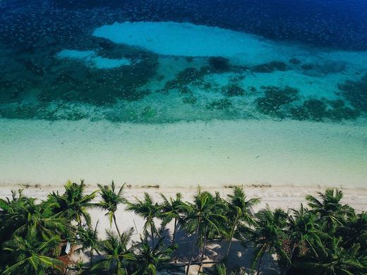 Great Barrier Reef