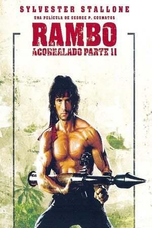 Película Rambo: Acorralado Parte II