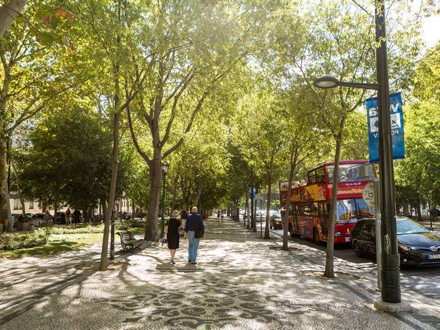 Lugar Avenida da Liberdade