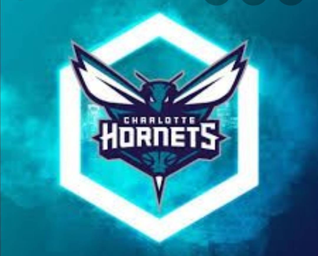 Fashion Charlotte Hornets