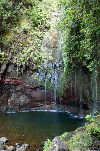 PR6 Levada das 25 Fontes / Levada do Risco