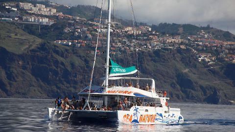 VMT Madeira - Catamaran Trips