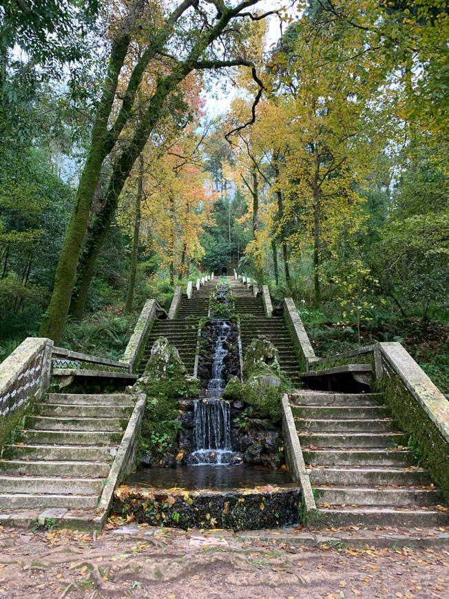 Lugar Mata Nacional do Buçaco