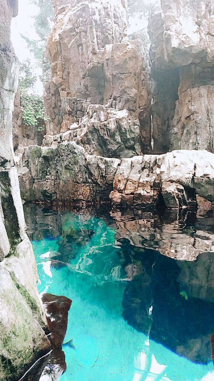 Lugar Oceanario de Lisboa