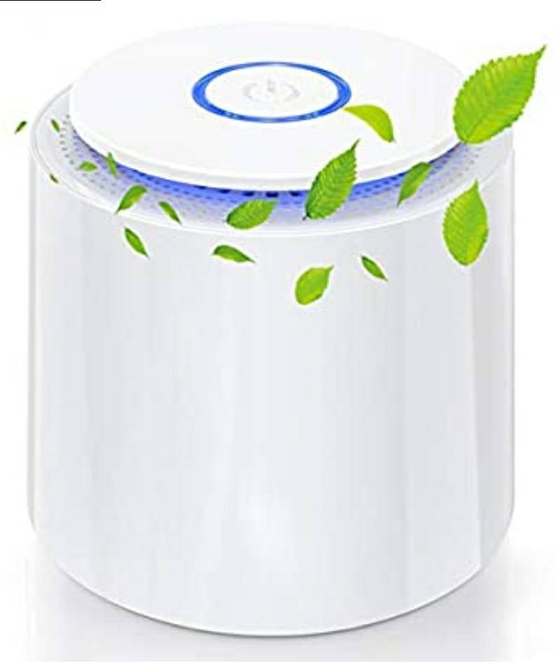 Products Air Purifier 