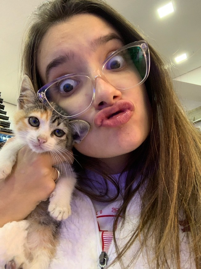 Moda eu e o gatinho