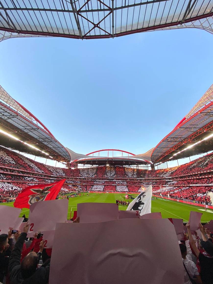 Place Estádio Sport Lisboa e Benfica