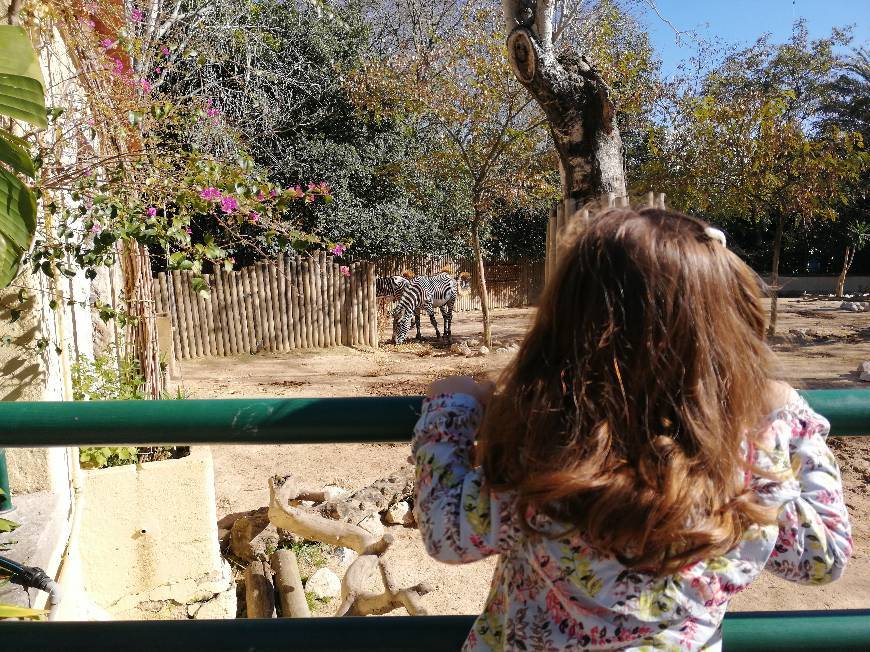 Lugar Jardim Zoológico 🦍🦓🦁🐘