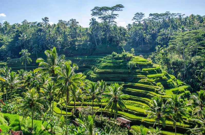 Place Ubud