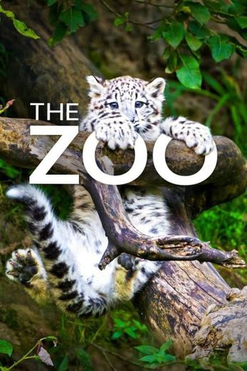 The Zoo (TV Series) 