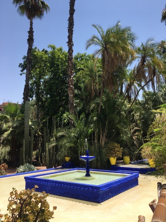 Place Jardín Majorelle