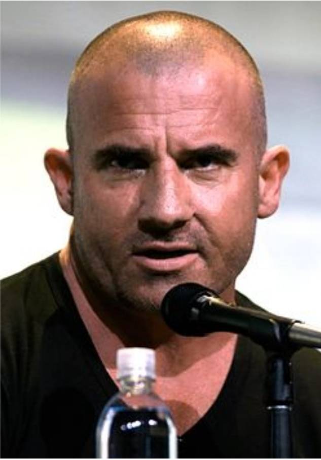 Fashion Dominic Purcell