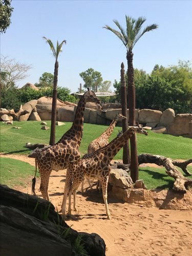 Place Bioparc Valencia