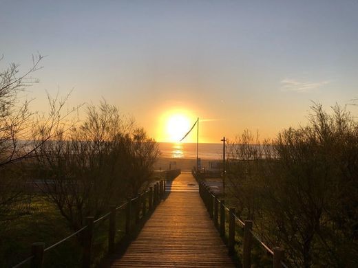 Lugar Praia de Canide (Norte)