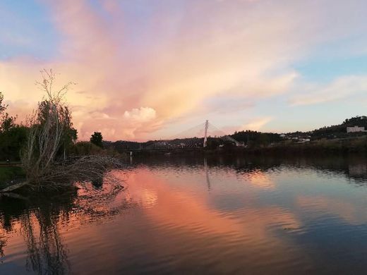 Park Verde do Mondego