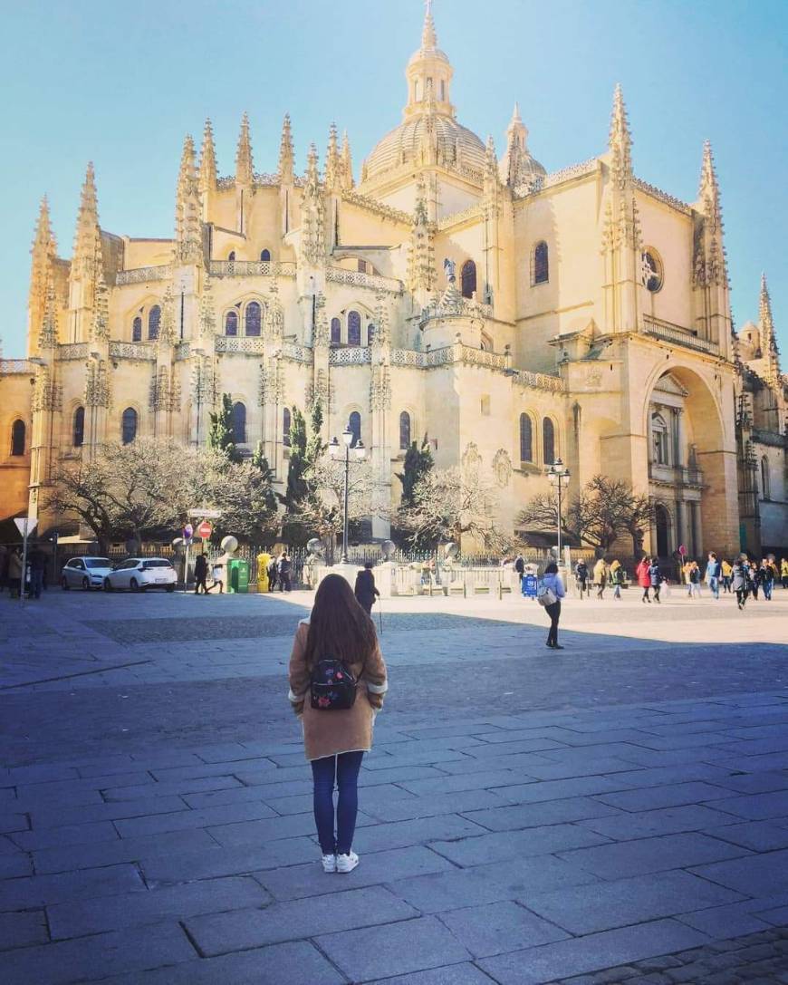 Lugar Catedral de Segovia