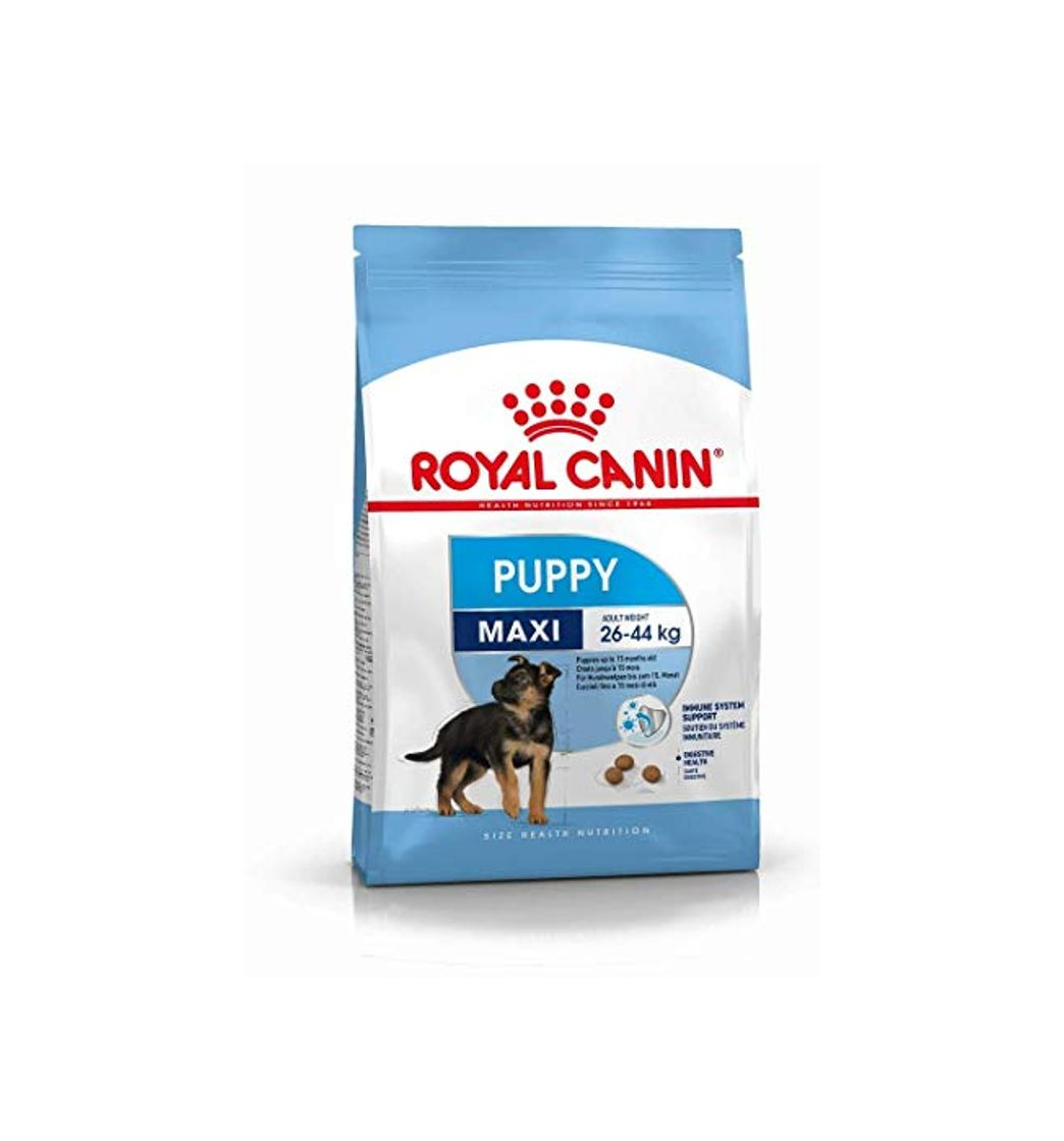 Social Royal Canin Alimento para Perros Maxi Puppy- 15 kg