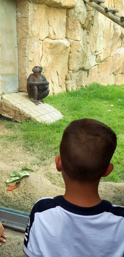 Lugar Jardim Zoológico de Lisboa
