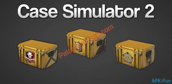 Case Simulador 2