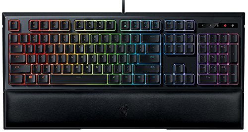 Social Razer Ornata Chroma