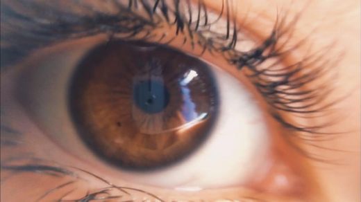 The Eyes (Human Anatomy): Diagram, Optic Nerve, Iris, Cornea ...
