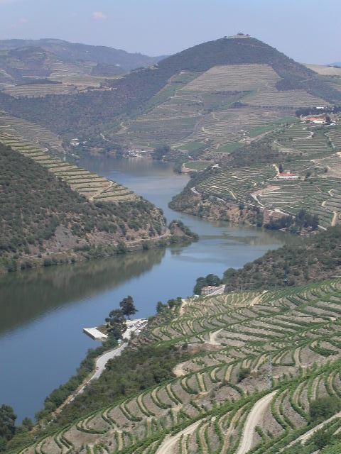 Moda Douro - Wikipedia