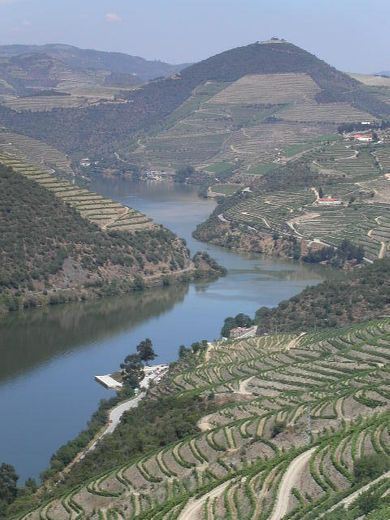 Douro - Wikipedia