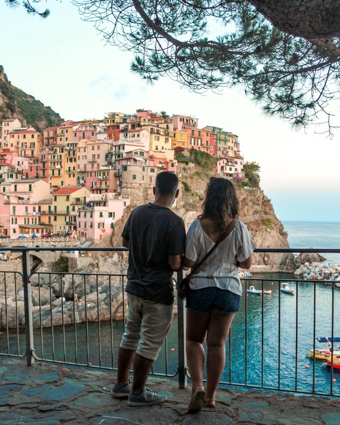Place Manarola Scenic Viewpoint