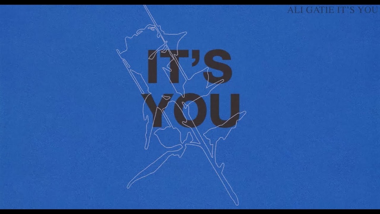 Canción It’s you