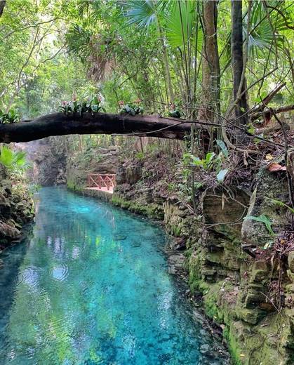 Hotel Xcaret Mexico