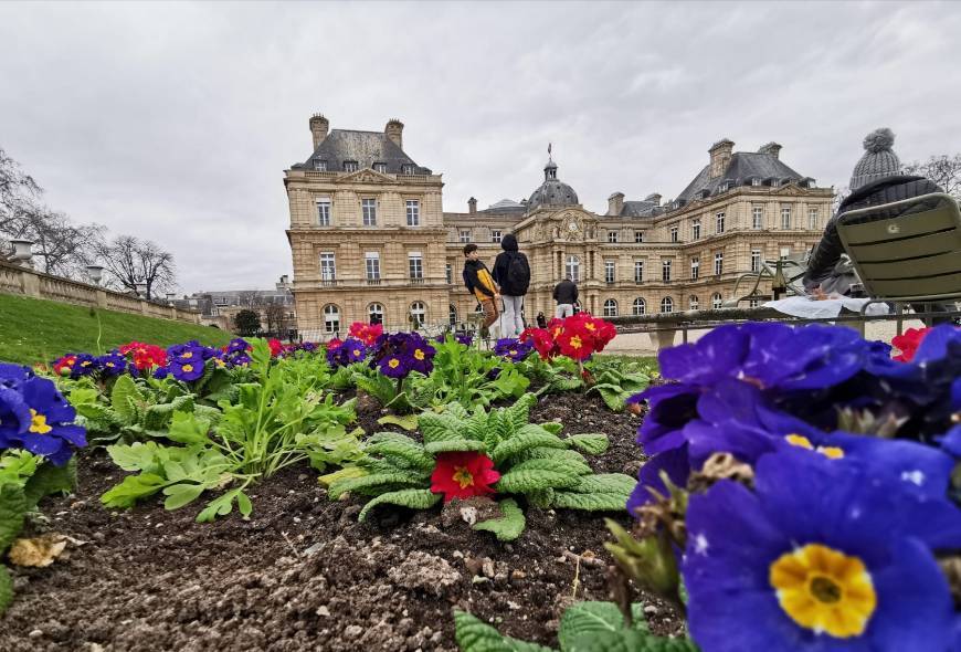Place Jardines de Luxemburgo