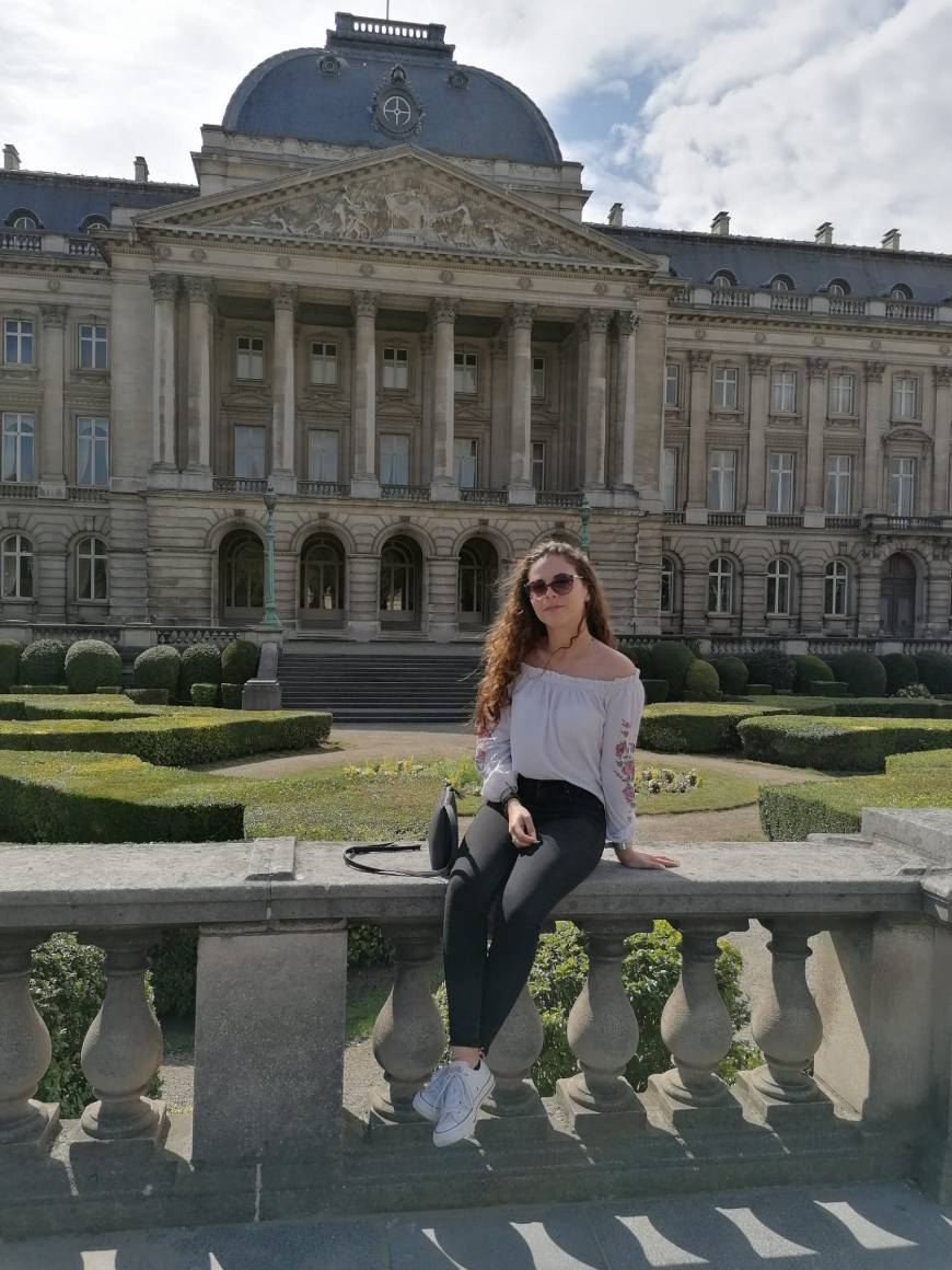 Lugar Palacio Real de Bruselas