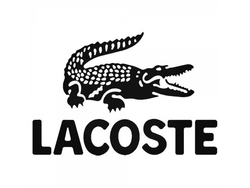 Social LACOSTE🐊